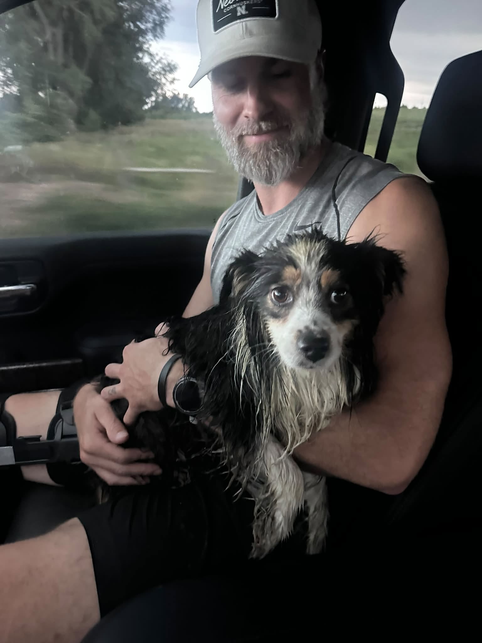 Bella, a merle Mini Aussie, sitting in the passenger seat of a pickup after Aerial Allies found her near Hallam
